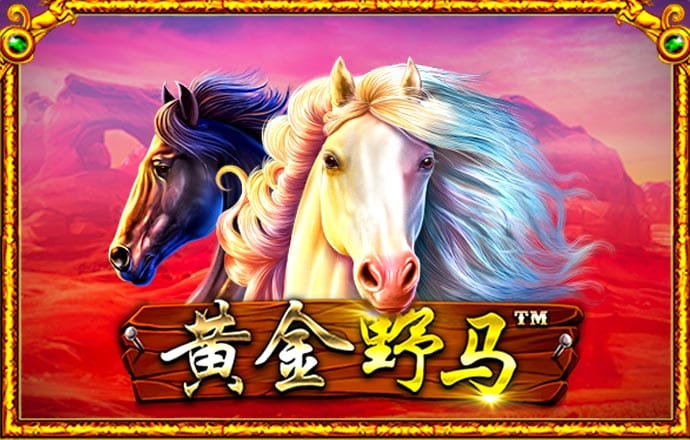 196体育官网登录app