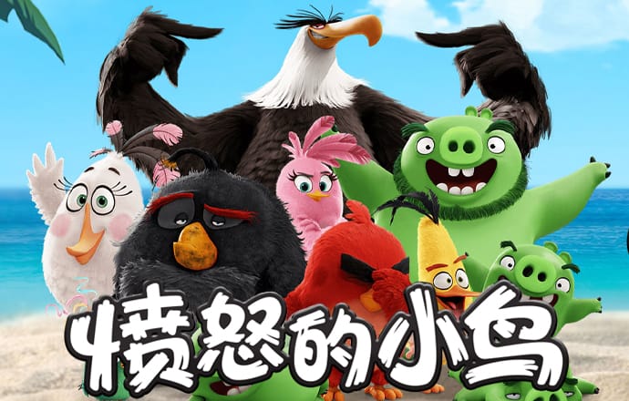 kok·体育